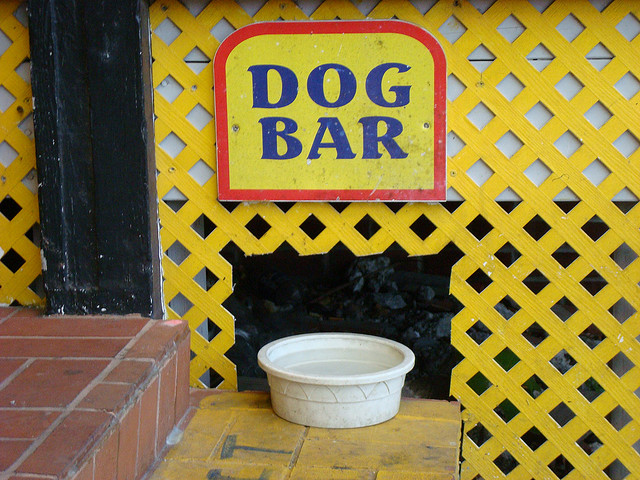 Pet Friendly Vacations - The Florida Keys